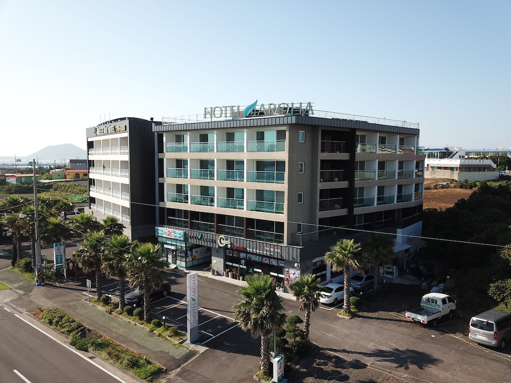 阿鲁哈酒店(Hotel Aroha) 图片4