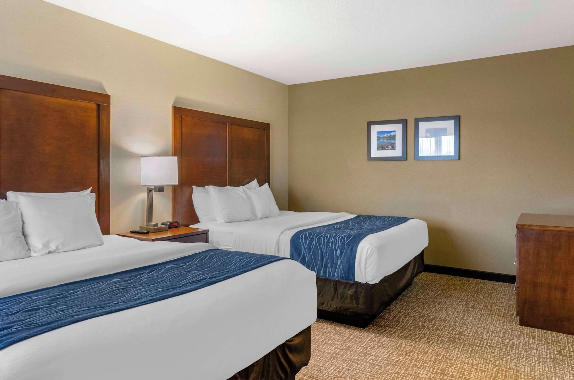 Suite, Multiple Beds