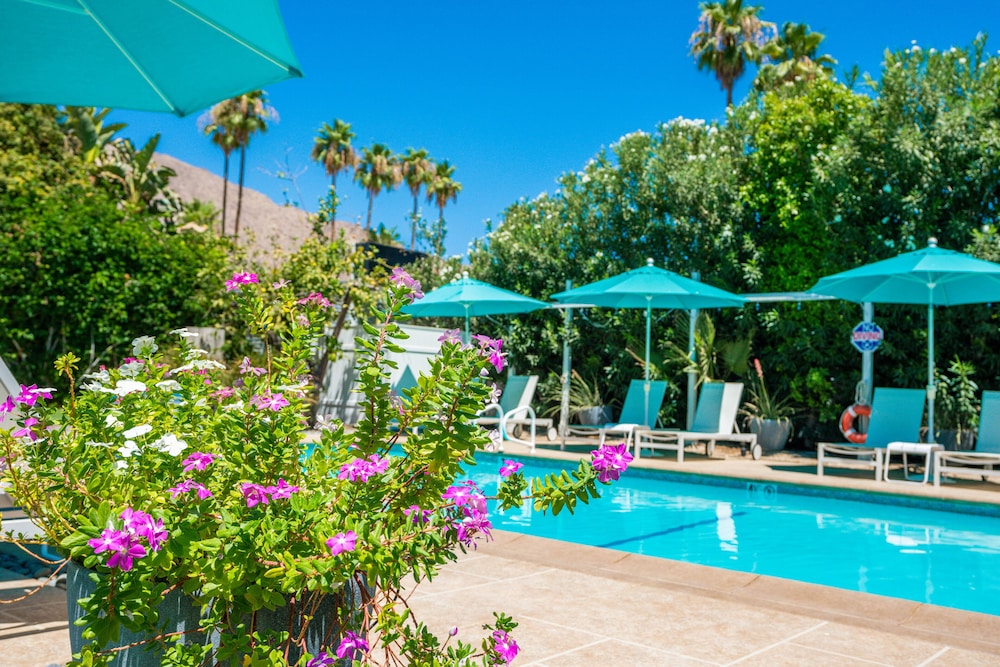BelleVue Oasis-Palm Springs - Adults Only 55/62