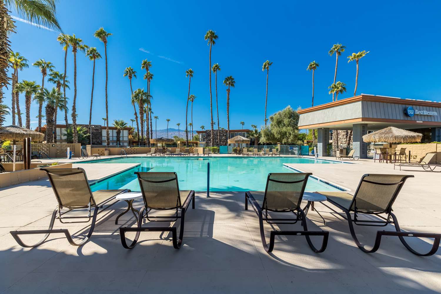 Best Western Date Tree Hotel 41/49