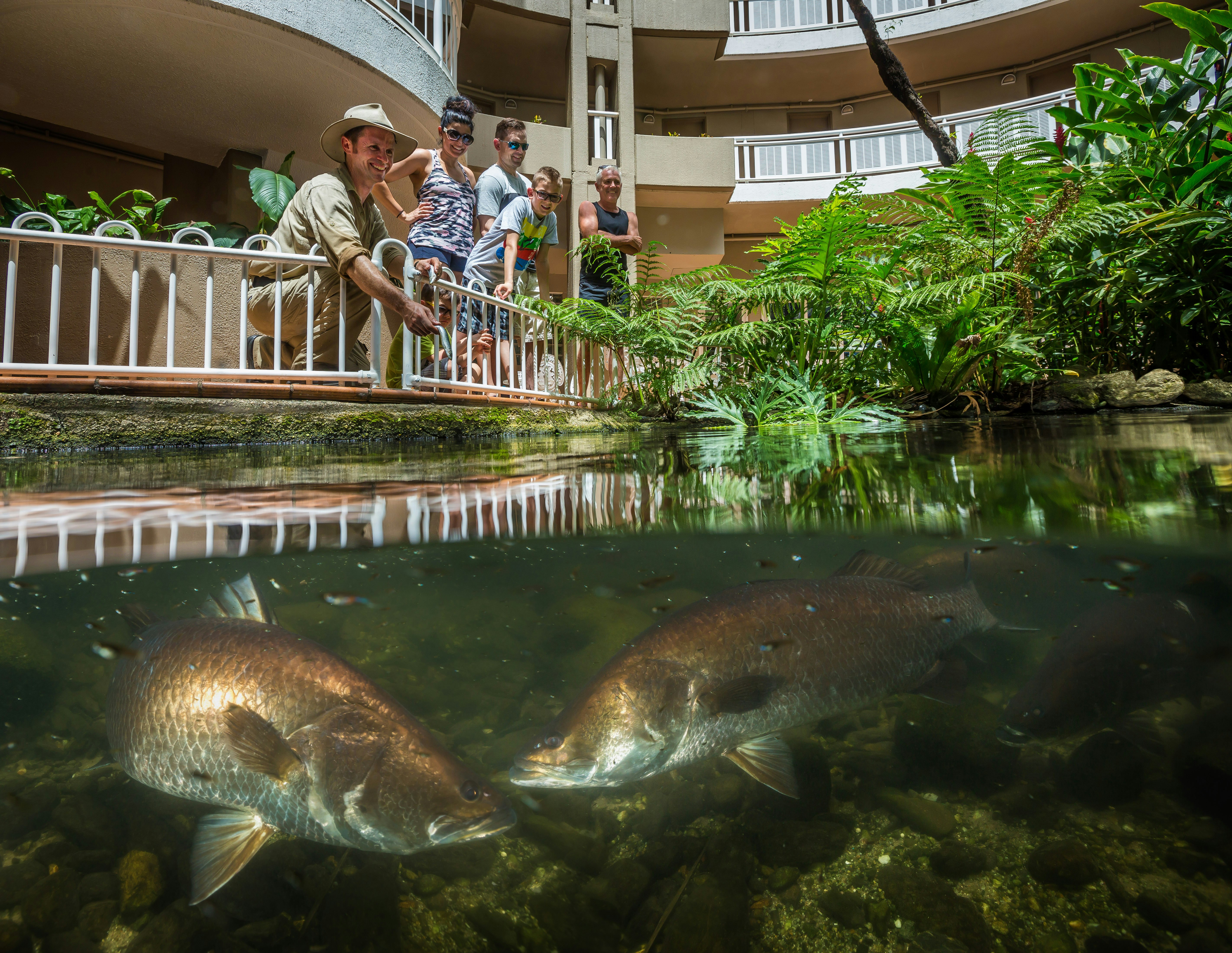 DoubleTree by Hilton Hotel Cairns 42/46