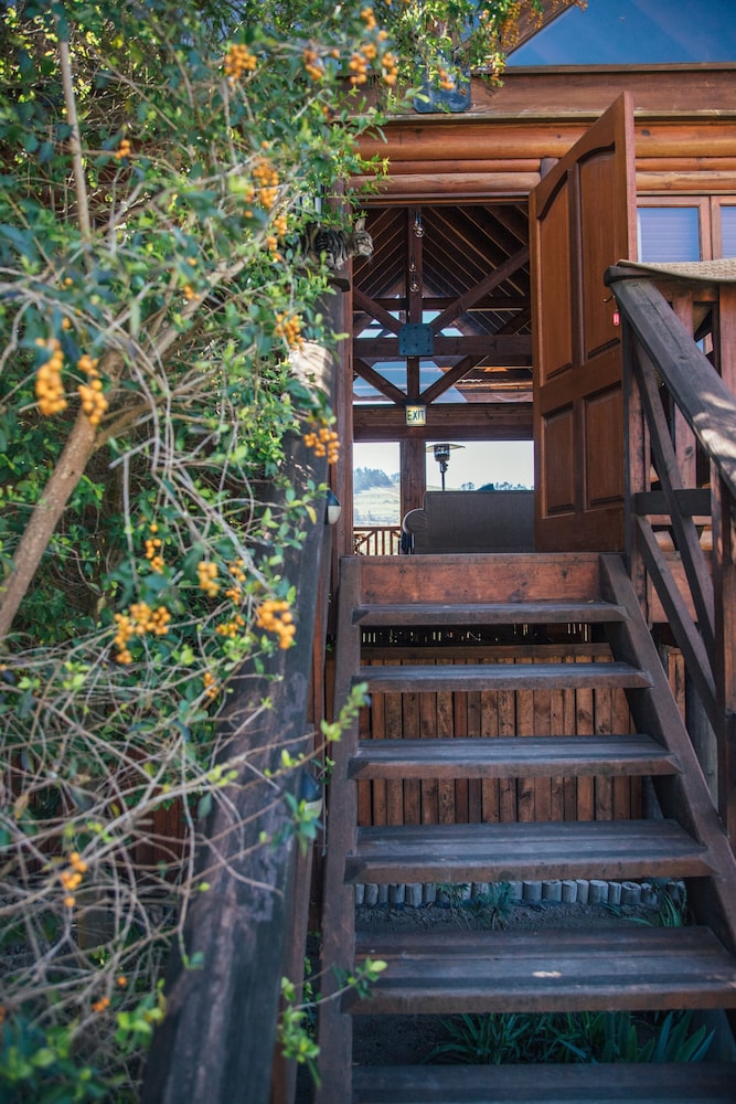 The Log Cabin 5/50