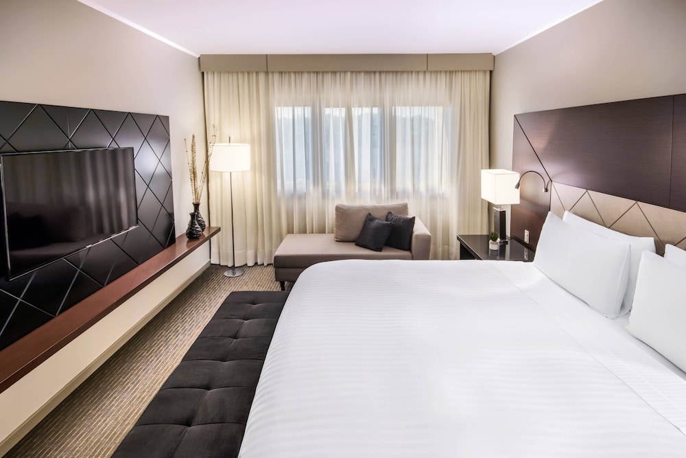 Sao Paulo Airport Marriott Hotel 21/73