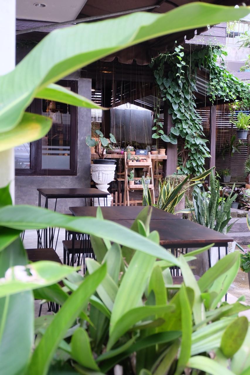 I-House Chiangrai 15/55