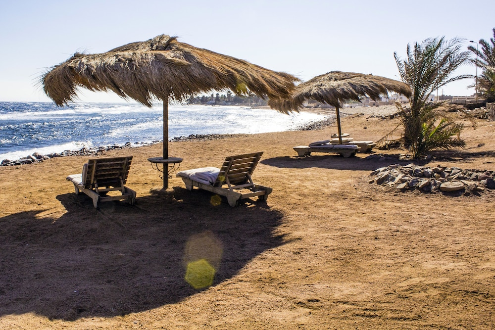 Bedouin Moon Hotel 40/50
