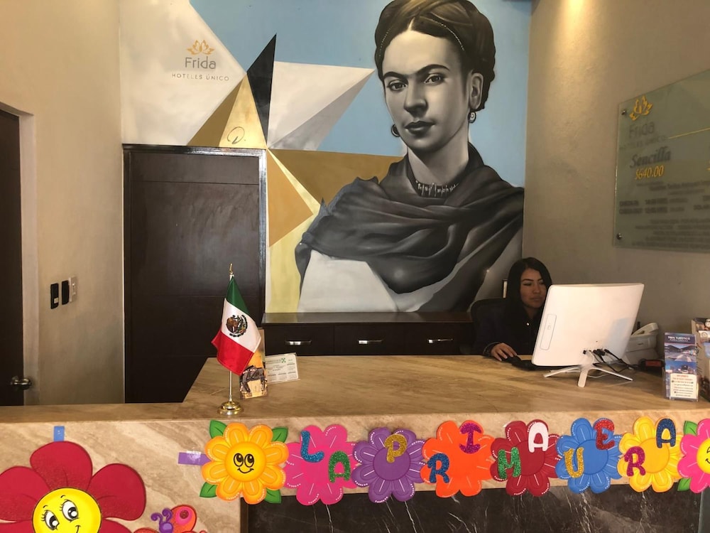 FRIDA UNICO 5/50