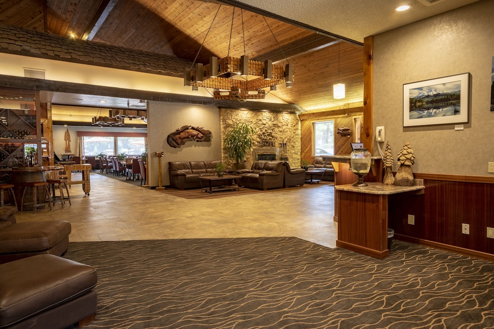 Best Western Plus Tree House 6/43