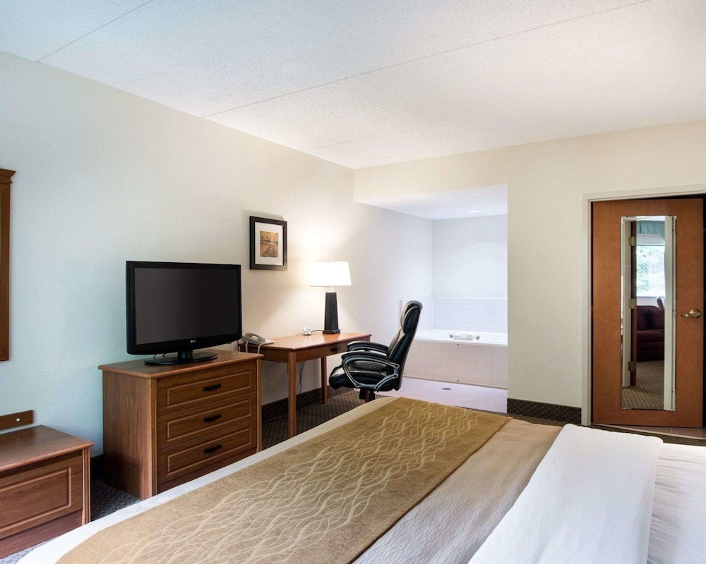 Comfort Inn & Suites Lavale - Cumberland 13/45