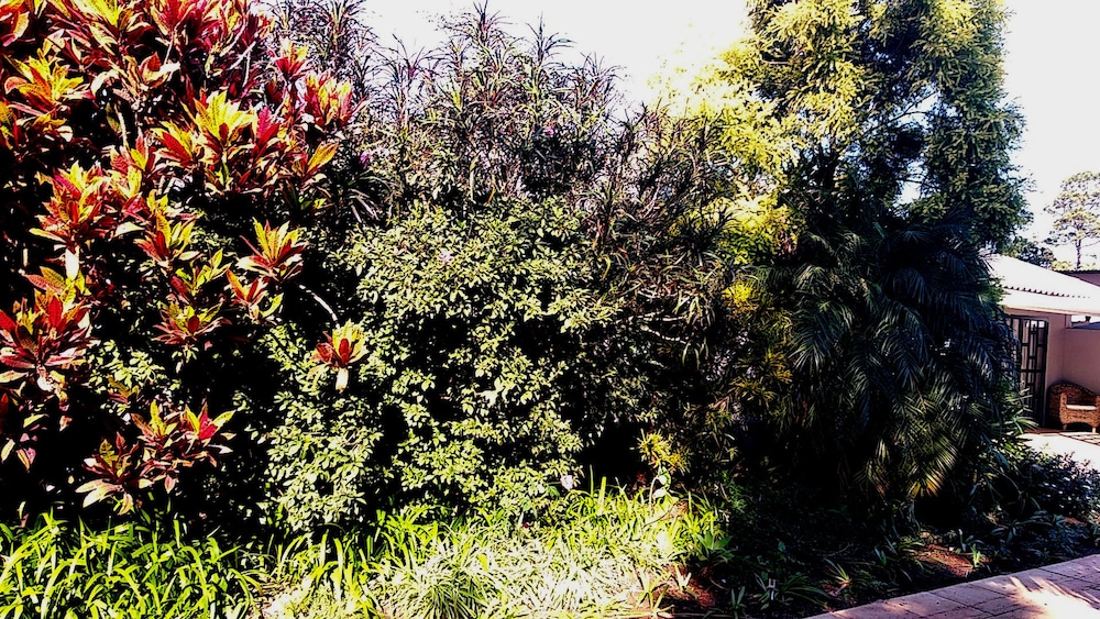 The Wilds Guest House 22/27