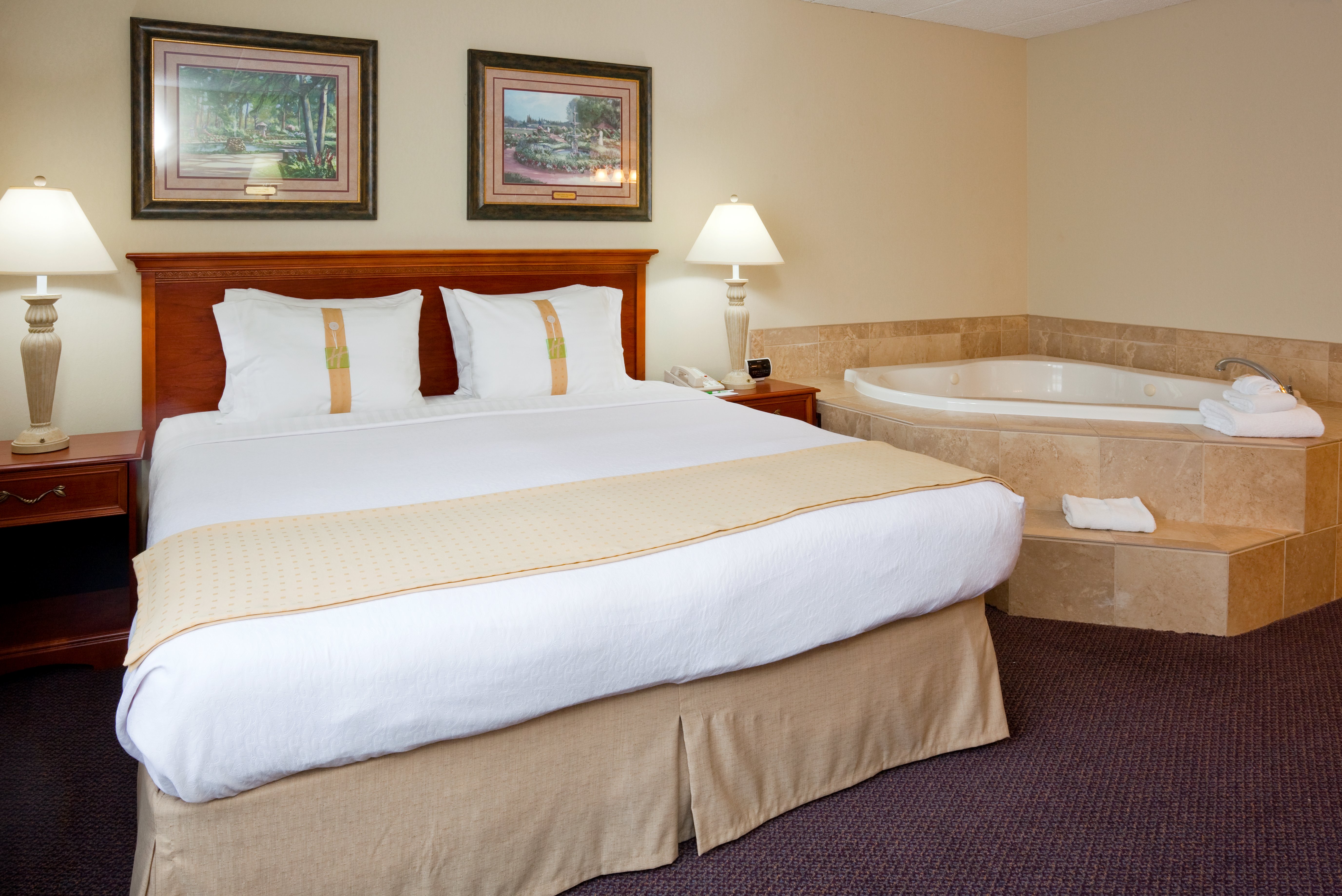 Holiday Inn Hotel And Suites St Cloud 17/60