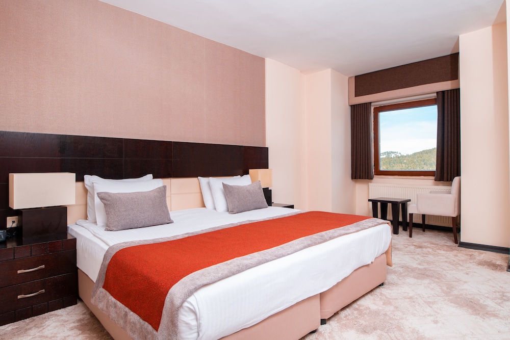 DELUXE, DOUBLE OR TWIN BED, MOUNTAIN VIEW