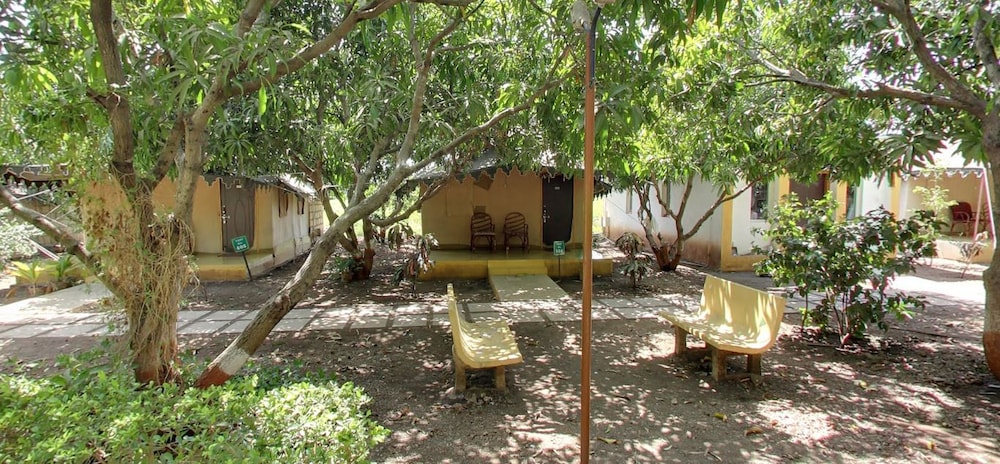Gir Jungle Lodge 36/38