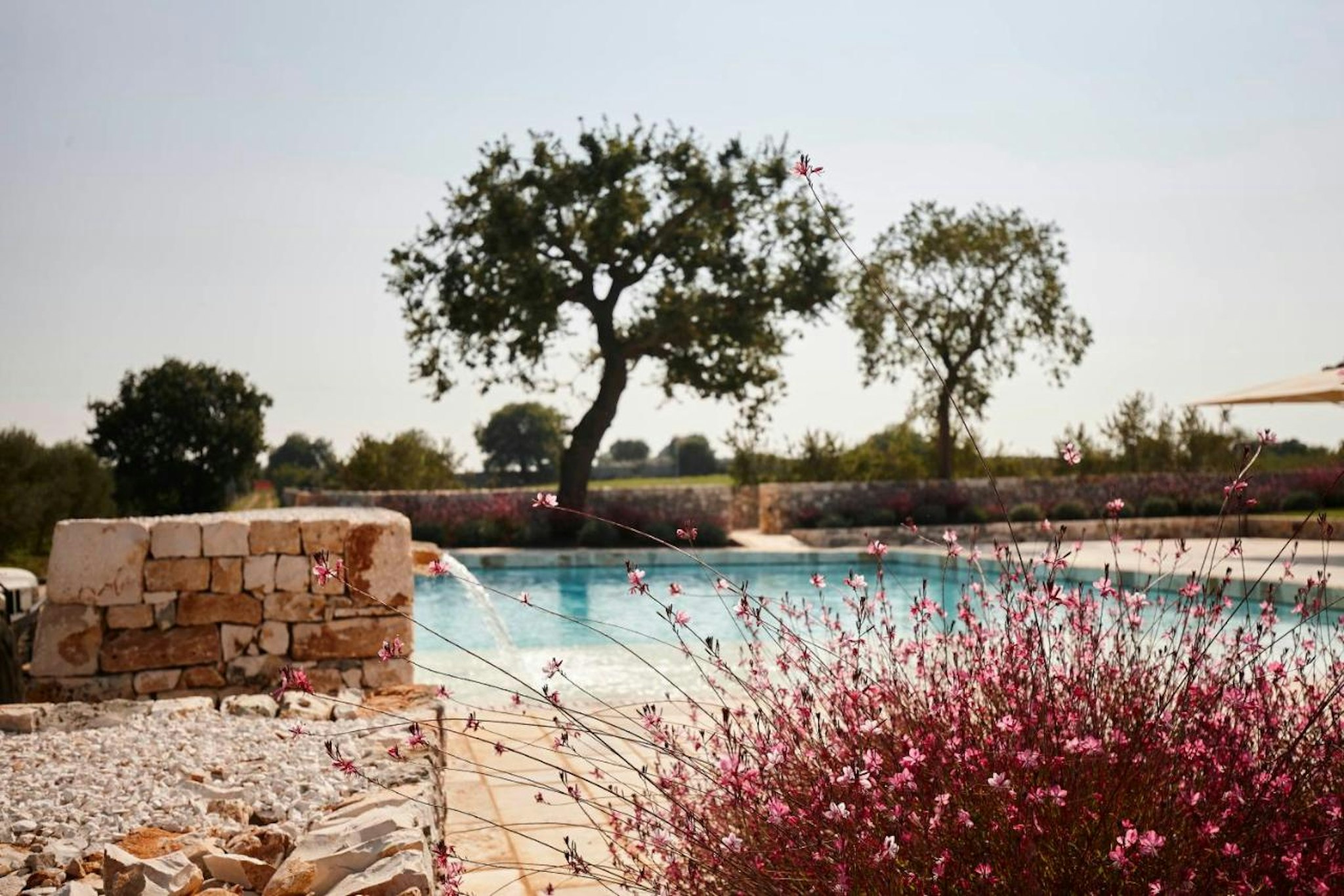 Mazzarelli Creative Resort 59/64