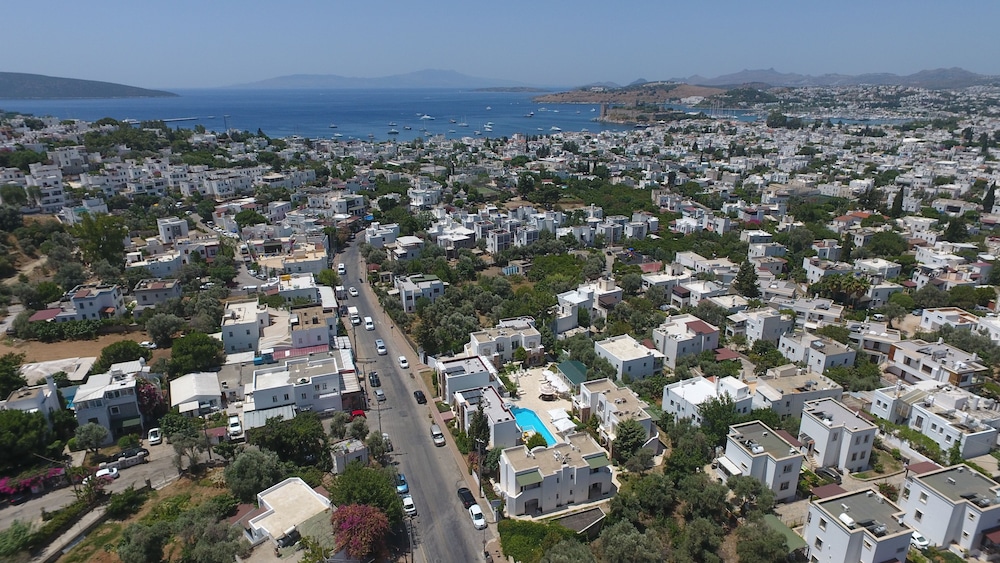 Sariyaz 55/86
