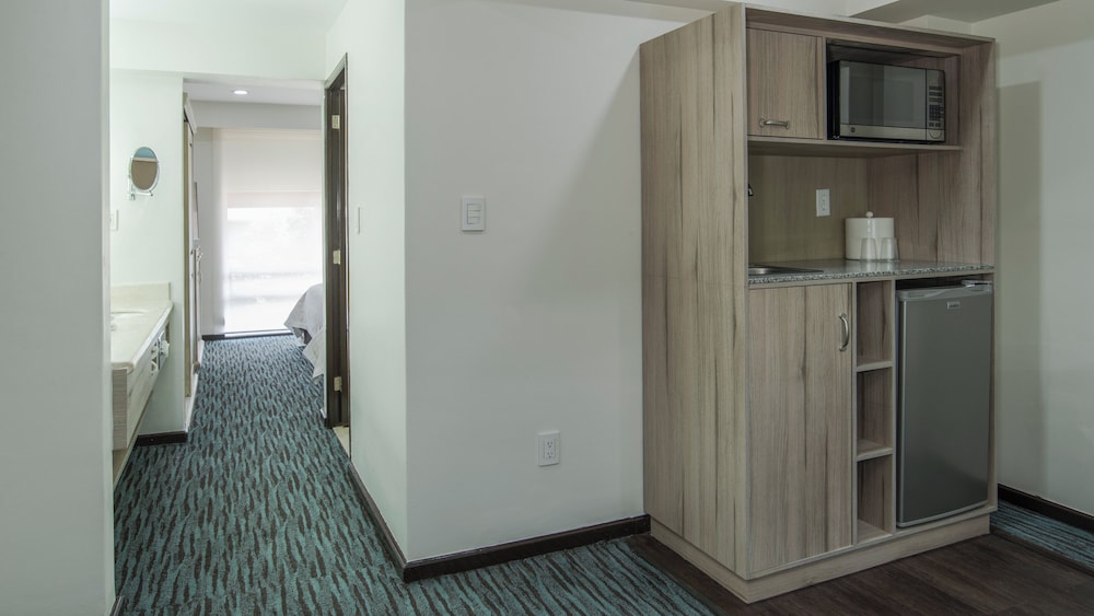 Holiday Inn Suites Mexico Zona Reforma An Ihg Hotel 21/50