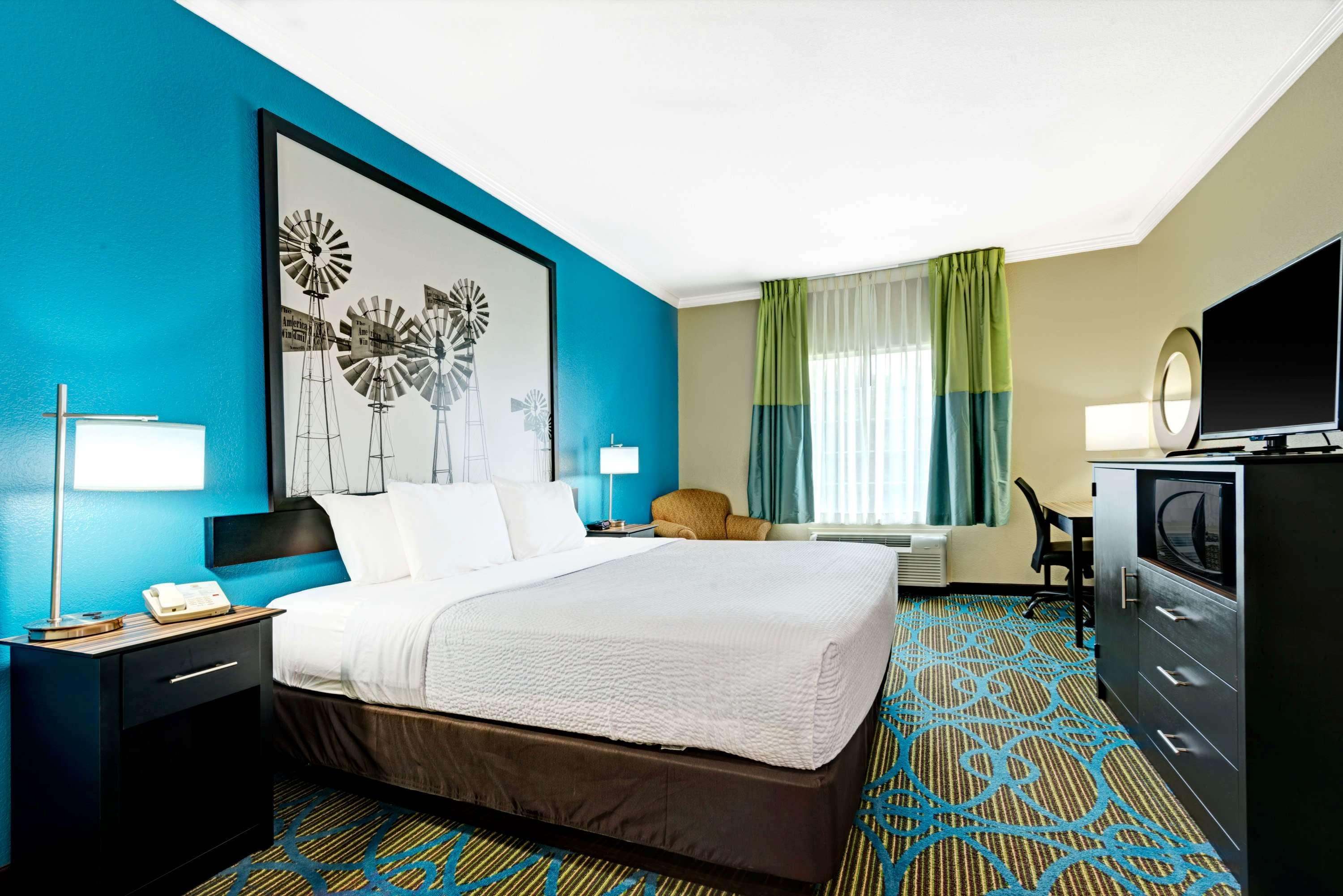 Suite, King Bed