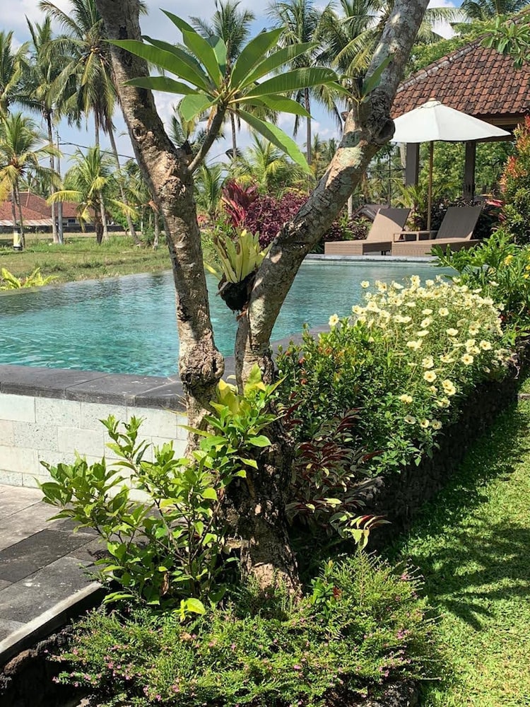 Paraiso Cottage Ubud 28/46