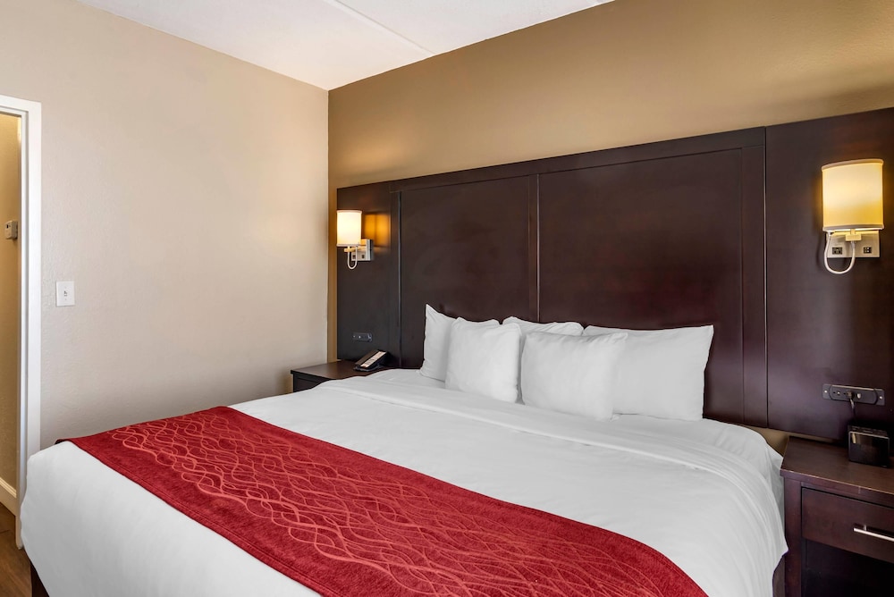 جناح بسرير كينج مع أريكة لذوي الإعاقة، Comfort Inn & Suites Near Six Flags GA 2/10