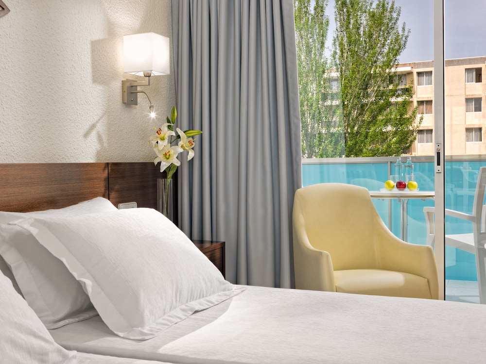 H10デルフィン（大人専用） 写真2