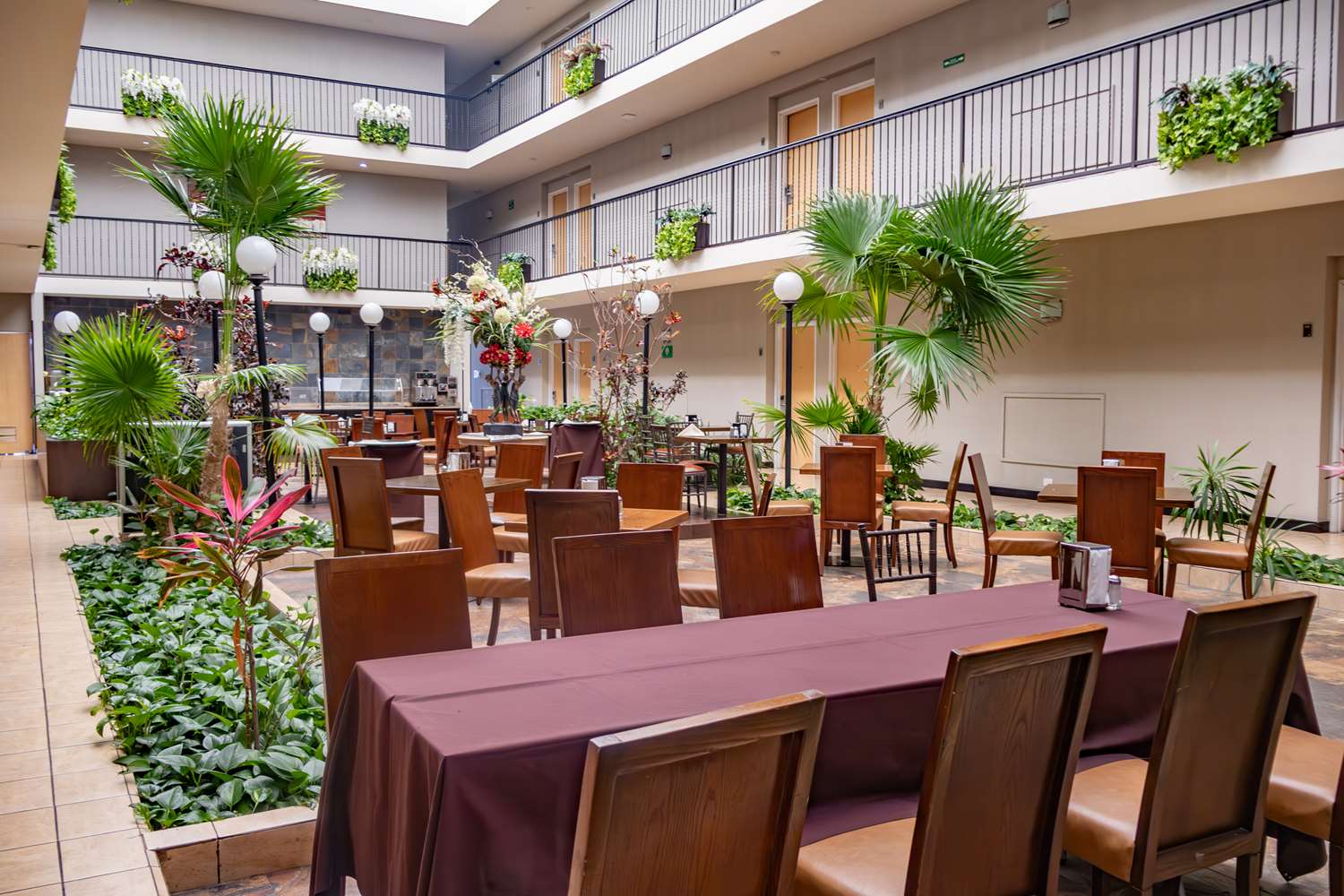 Best Western Plus Monterrey Aeropuerto 32/55