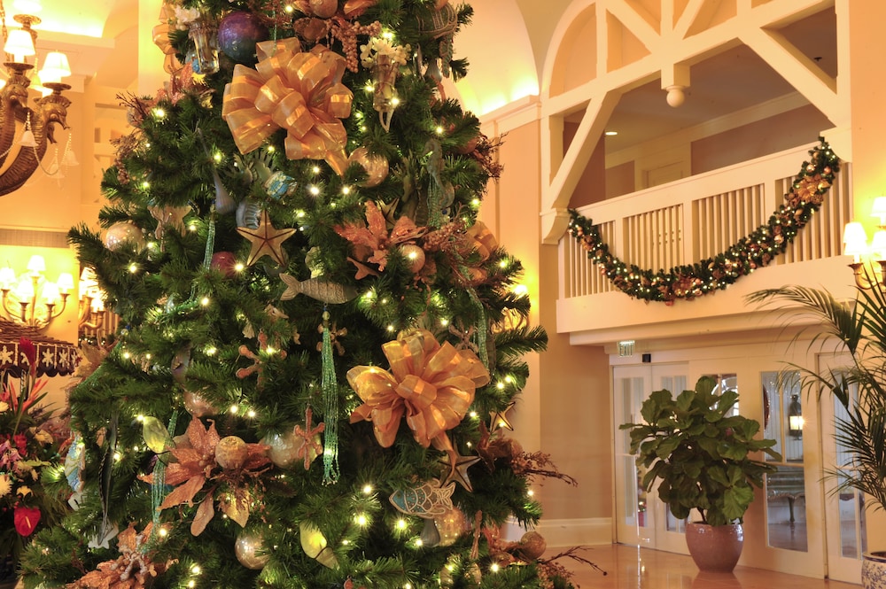 Disneys Beach Club Resort 2/50