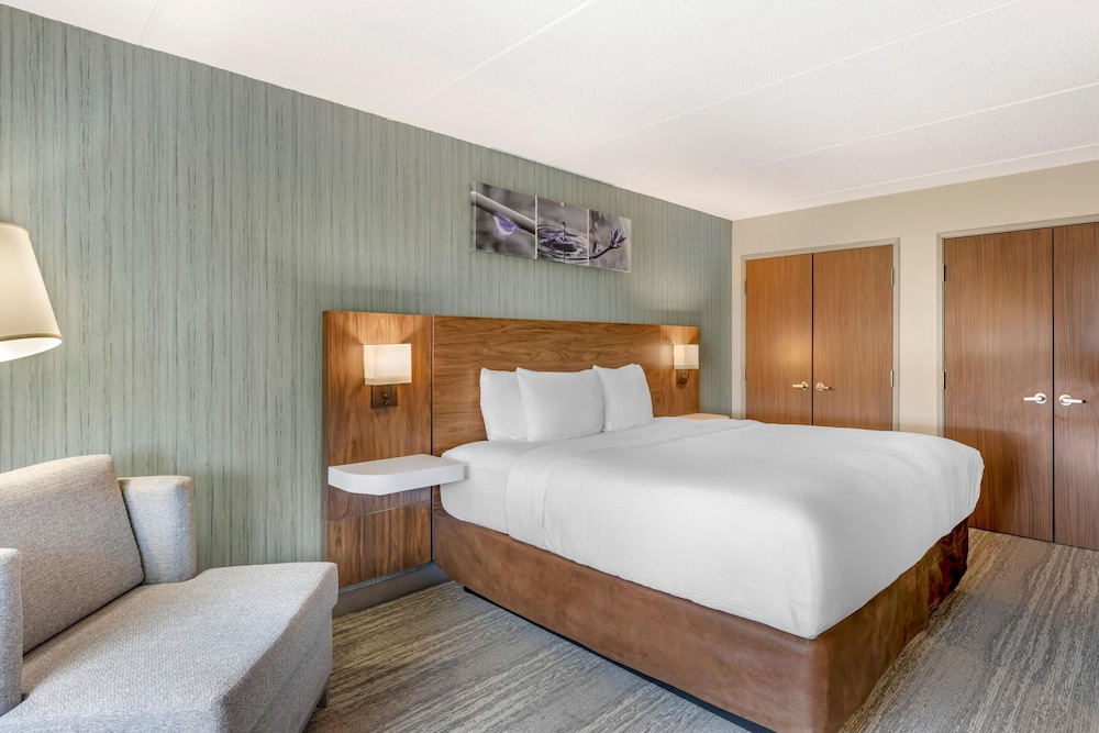 Upgrade, Suite, King Bed, Sofa