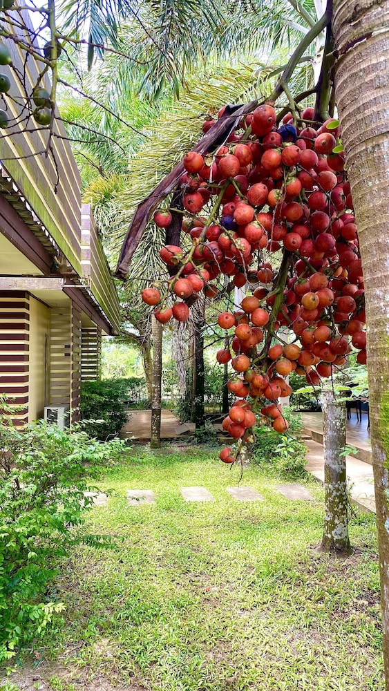 Kuapa Resort 6/52
