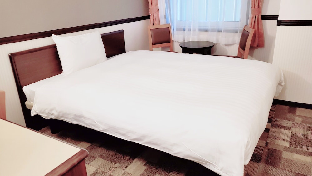Toyoko Inn Hon-atsugi-eki Minami-guchi 13/50