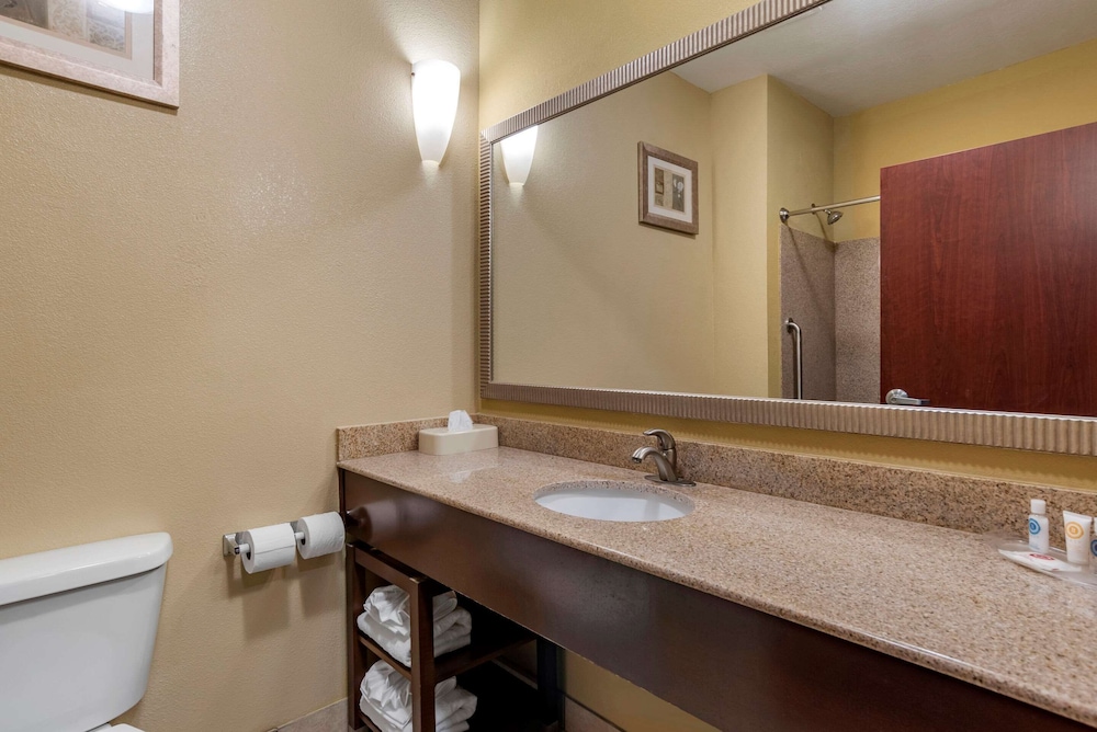 Comfort Suites Montgomery South 14/38