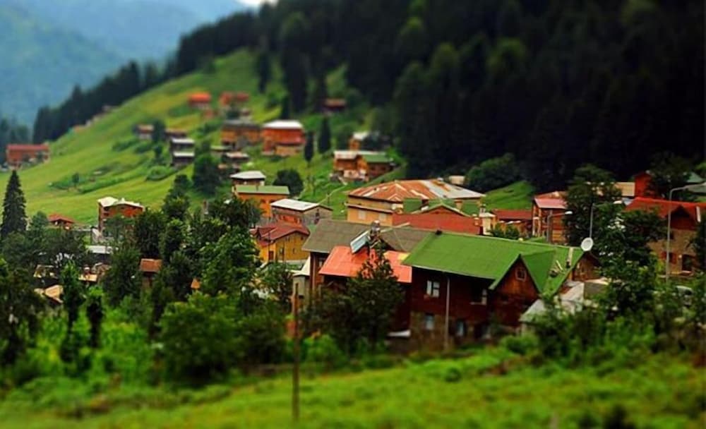 Nazar Hotel 31/40