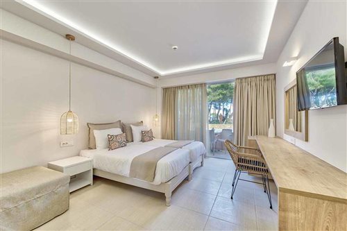 Superior, Double or Twin Bed