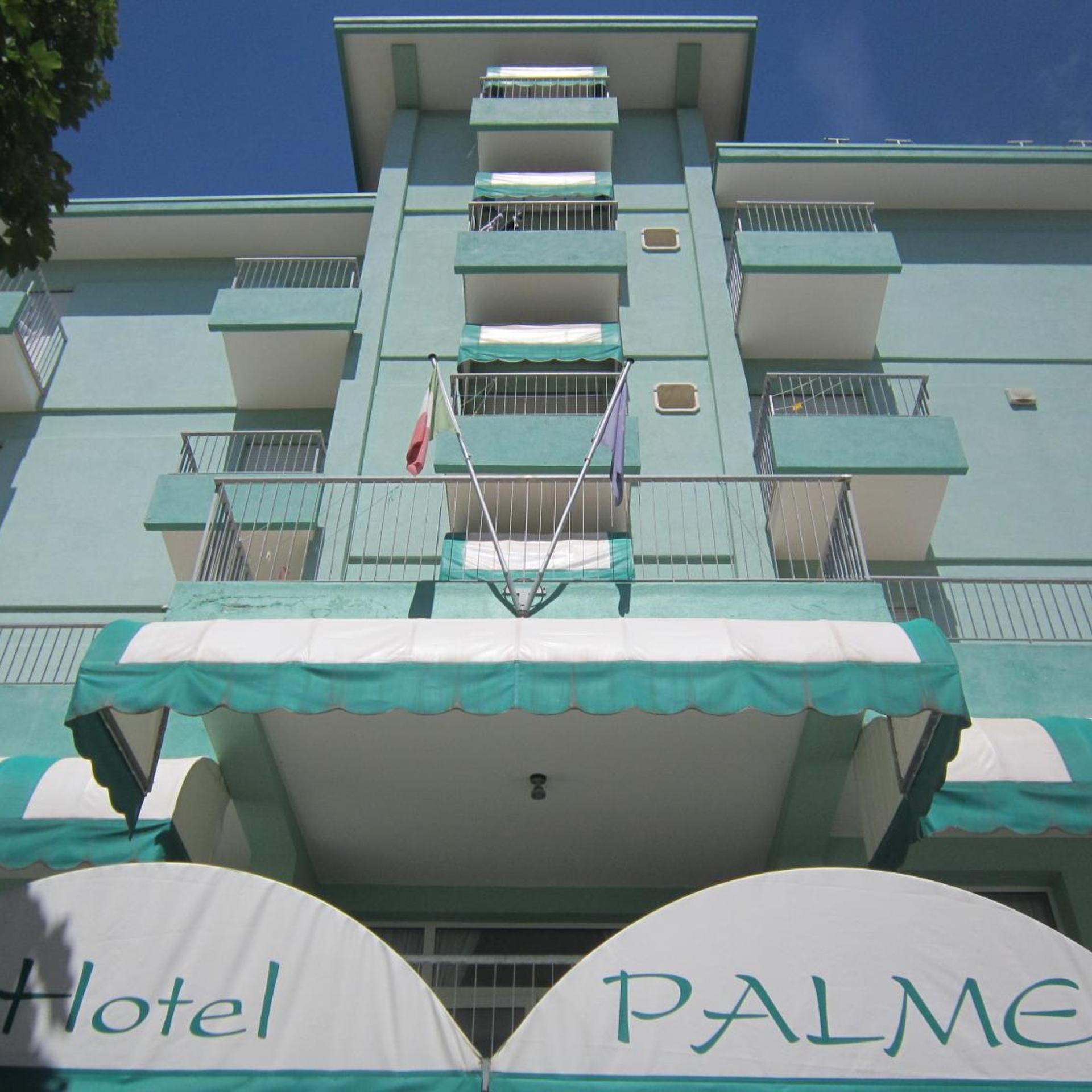 Palme 1/48