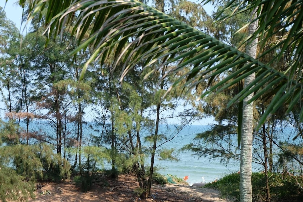 An Bang Beach Hideaway Homestay 40/50