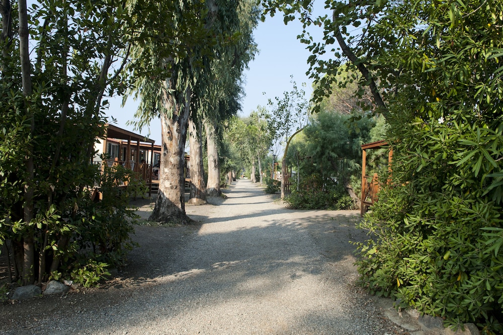 New Camping Le Tamerici 45/50