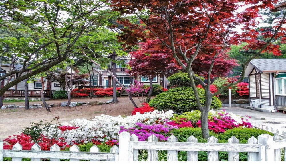 Yeongheung-Do Mirim Pension 41/50