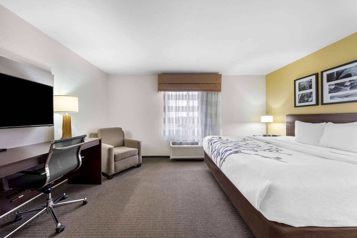 Room, King Bed, Sleep Inn & Suites West-Near Medical Center 2/3