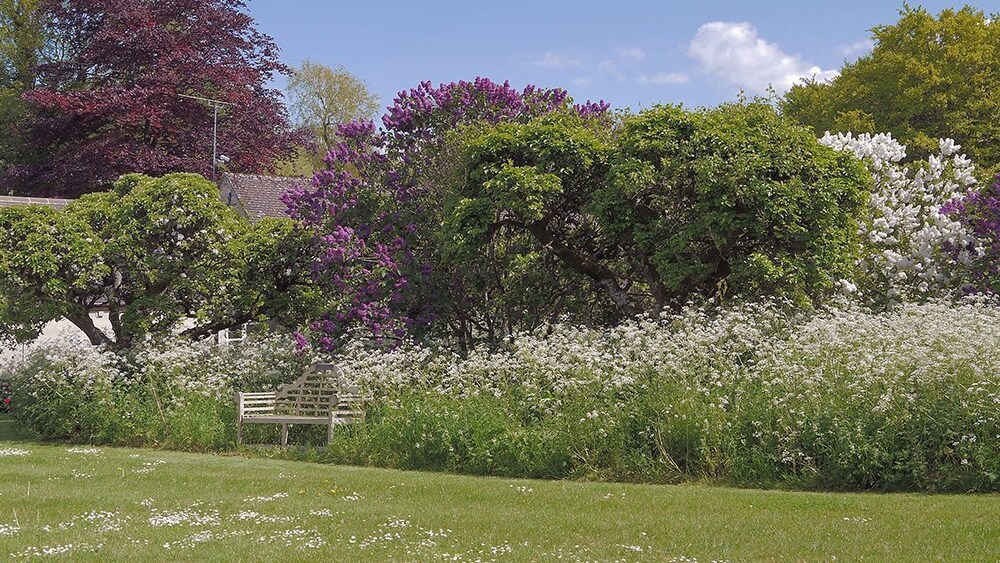 Bookers Cottage 16/25