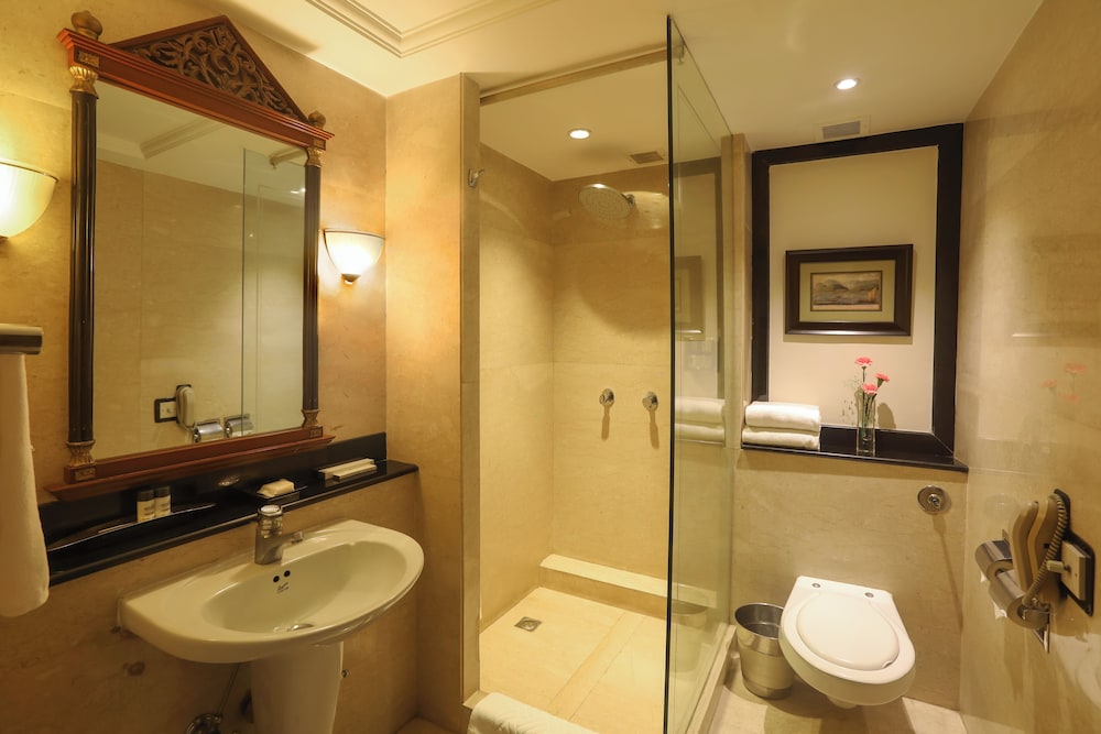 Eros Hotel New Delhi, Nehru Place 50/50