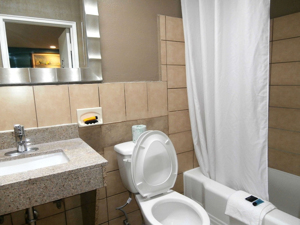 ROOM, KING BED, SMOKING, ACCESSIBLE