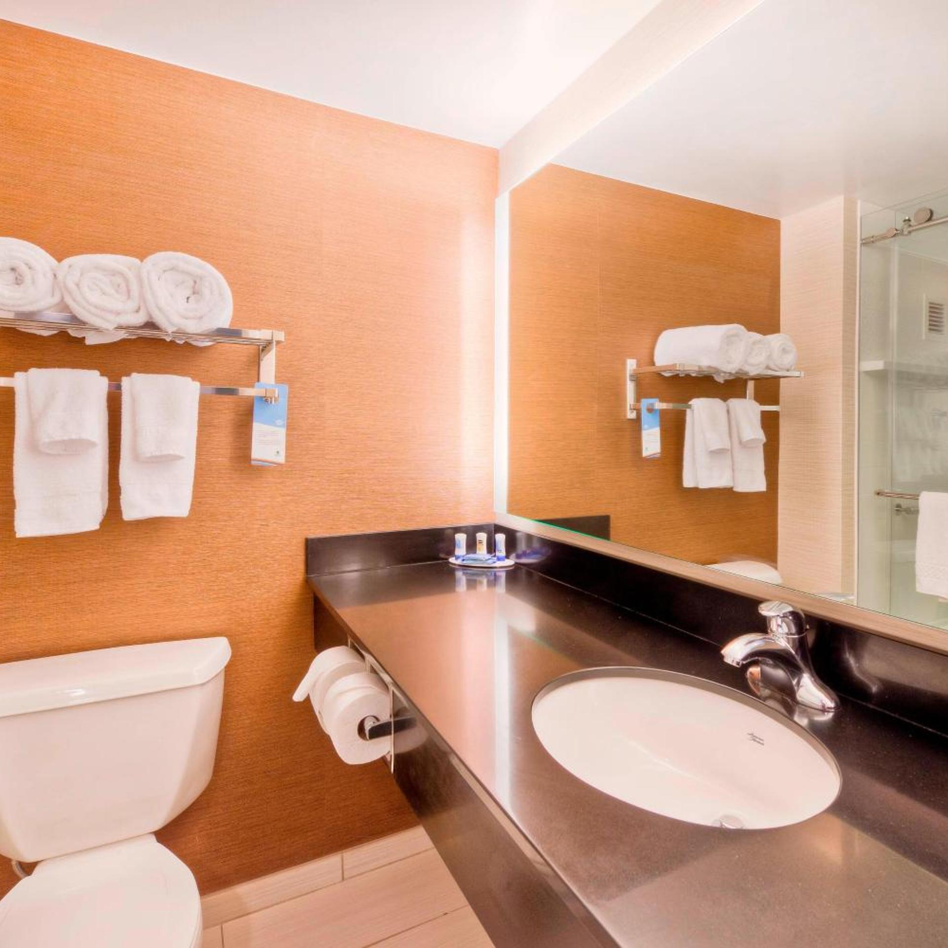 Conference, Suite, King Bed