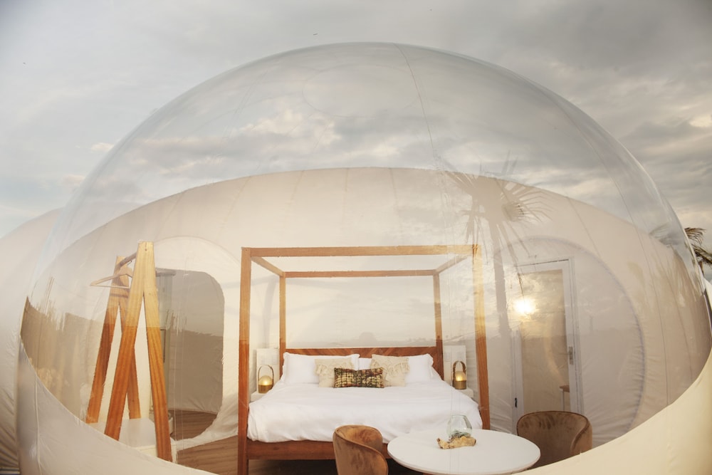 Green Land Bubble Glamping 35/60