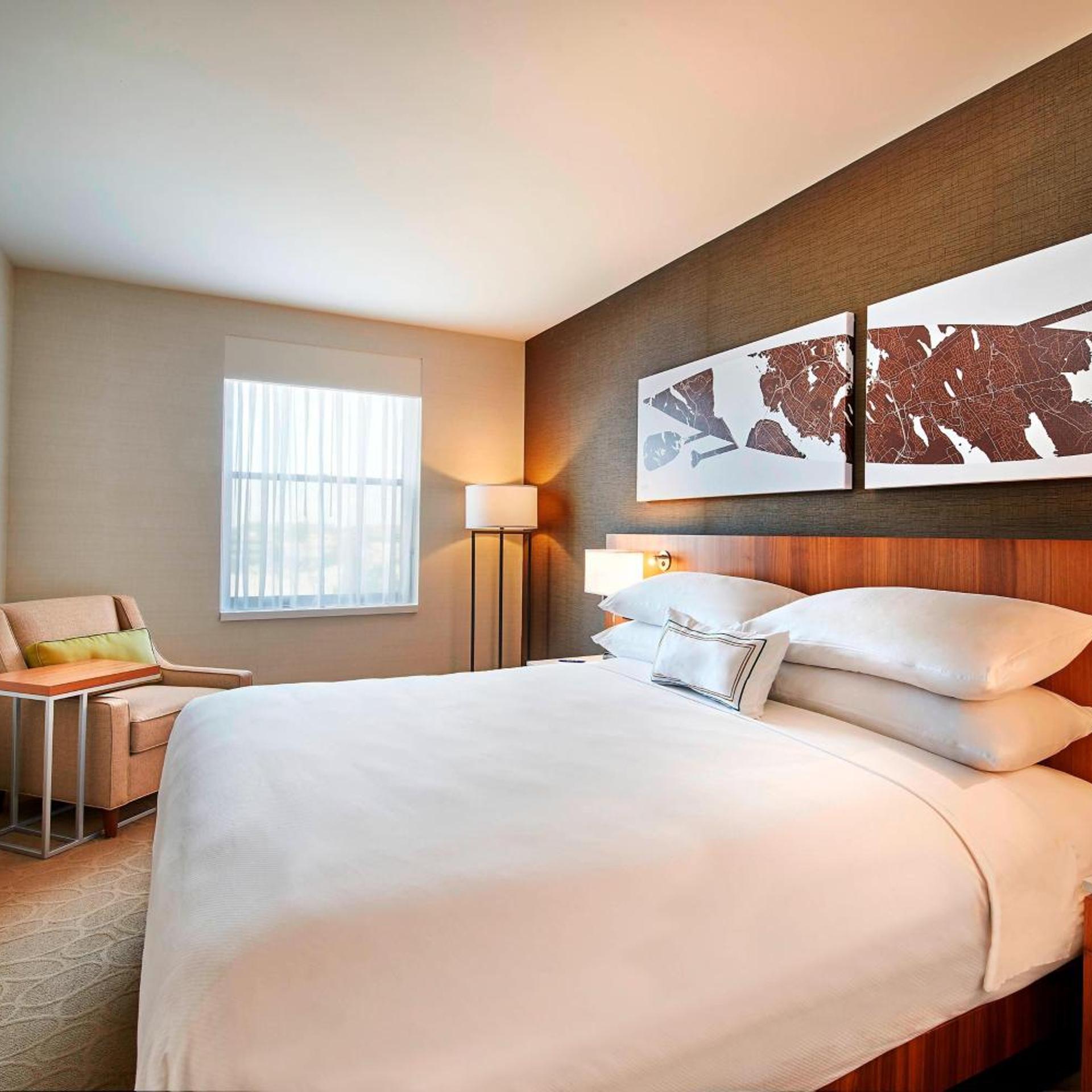 Suite, King Bed