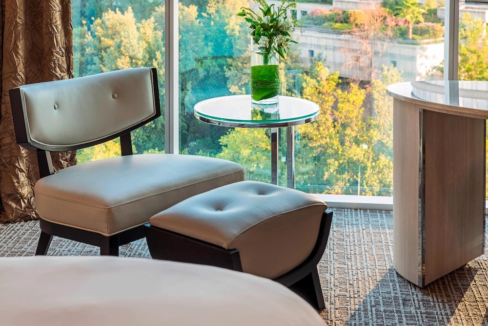 Renaissance Santiago Hotel 20/62