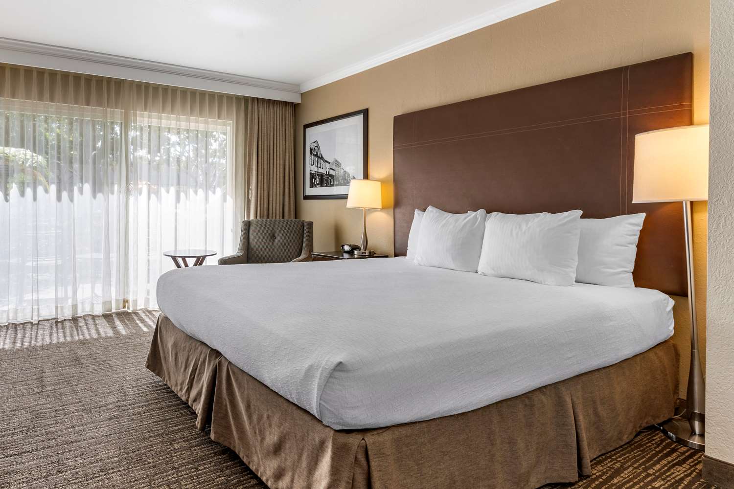 Room, King Bed, Accessible