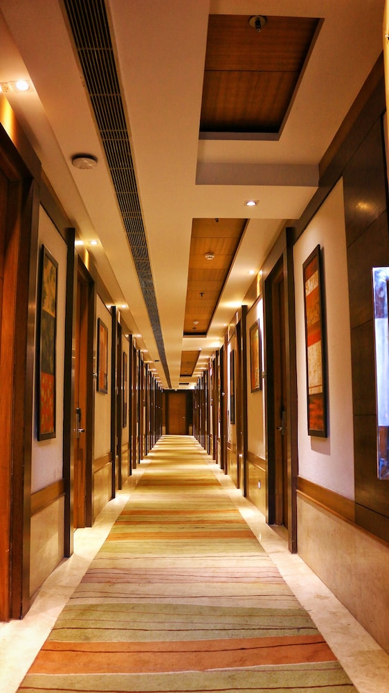 City Park Resort 23/29