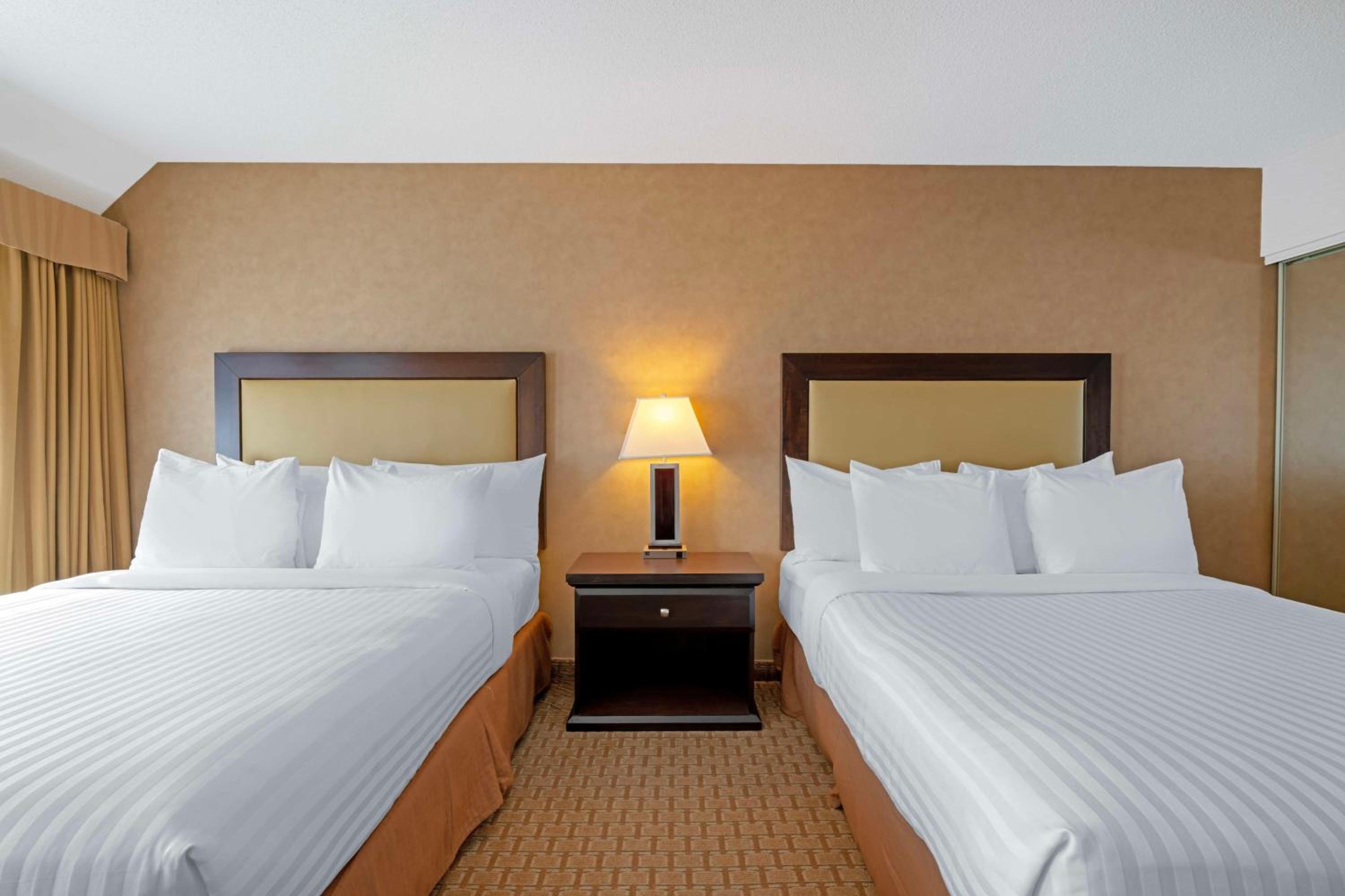 1 Bedroom, Suite, 2 Queen Beds