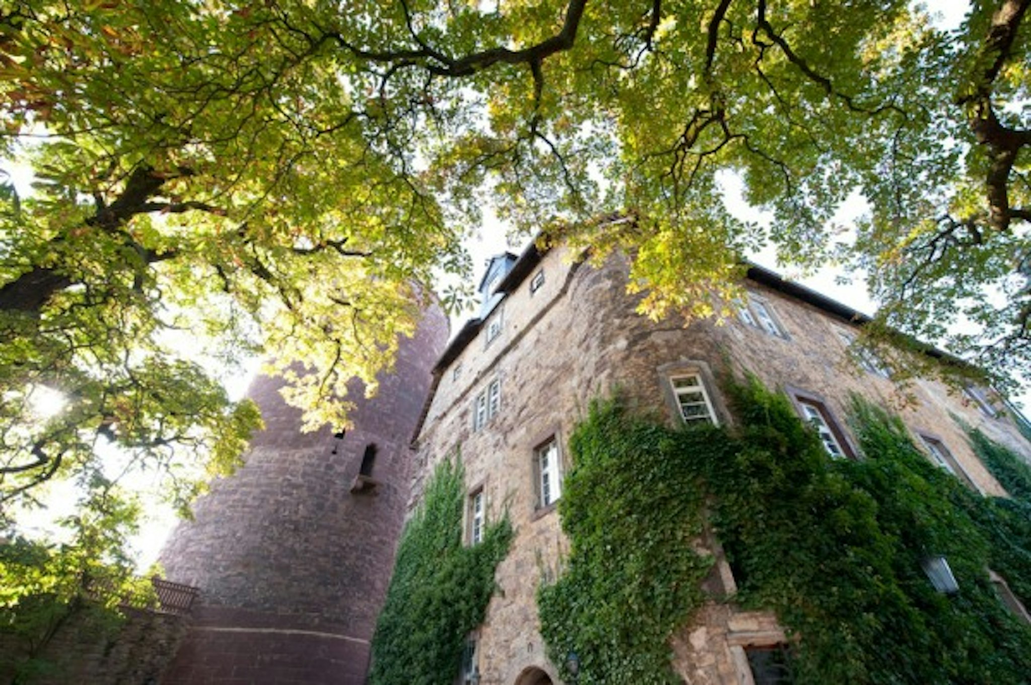 Hotel Burg Trendelburg 8/8