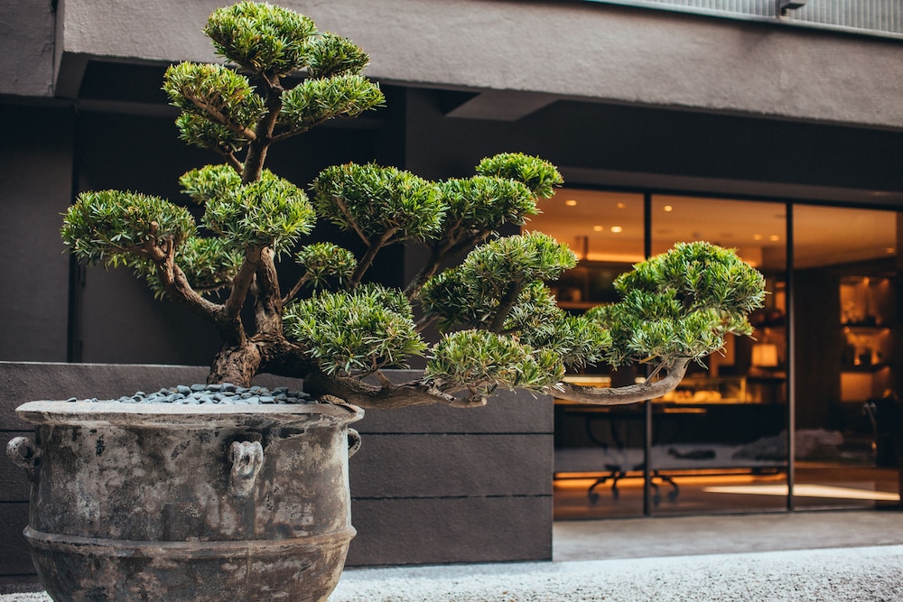 Mega Hotel Chiayi (ex. Hotel Discover) 61/63