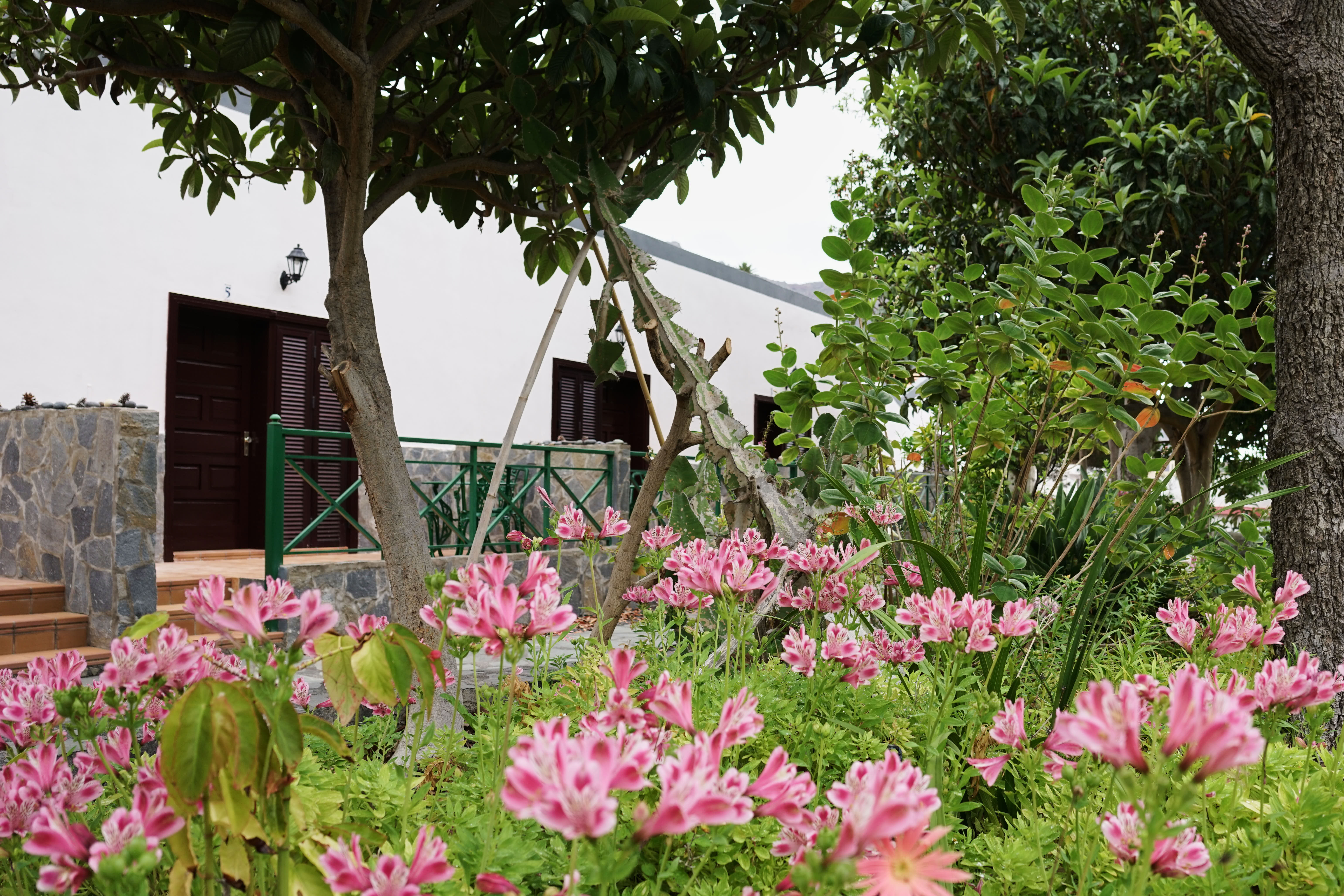 Finca Pinero 25/29
