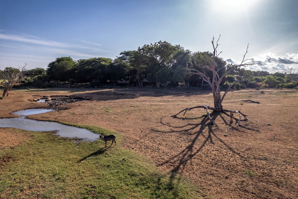 Sentrim Tsavo Lodge 37/42